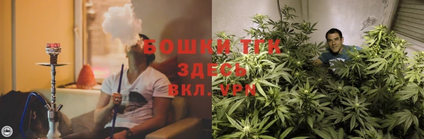 ПСИЛОЦИБИНОВЫЕ ГРИБЫ Алексин