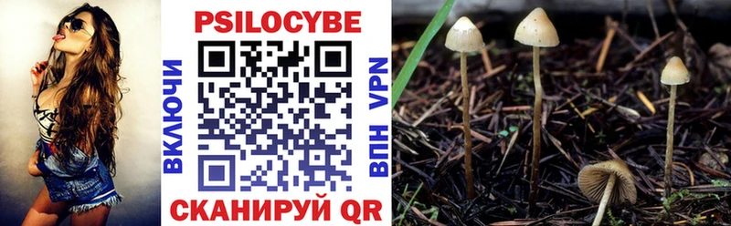 darknet состав Нерехта Псилоцибиновые грибы Psilocybine cubensis купить сайты